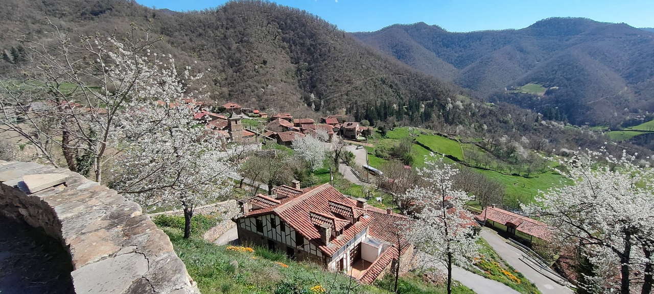 WhatsApp Image 2026-03-23 at 08.14.06 (1)